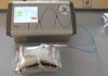 ANEOLIA : L’expertise dans la mesure de fuite de gaz pour une optimisation de l’étanchéité des emballages