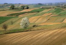 CybeleTech : Notre ambition, créer les jumeaux numériques dans l’agriculture et la sylviculture